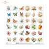 motyle, owady, skrzydła, muszle, ocean, plaża, morze, kwiat, hibiskus, egzotyczny, owoc, pitaja, marakuja, limonka, mango, granat, papaja, kokos, banan, akware* butterflies, insects, wings, seashells, ocean, beach, sea, flower, hibiscus, exotic, fruit, dr